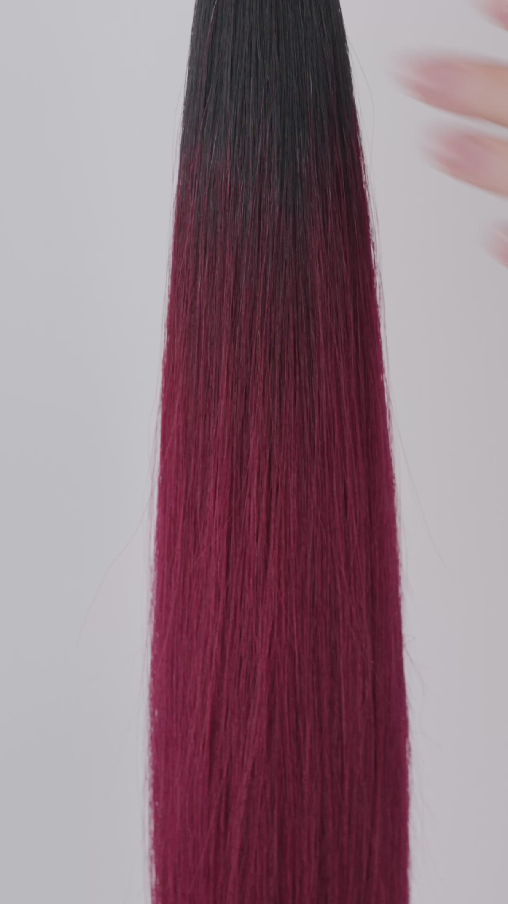 T1N-bordeaux ombré schwarz & bordeaux, T1N-bordeaux ombre black & bordeaux, T1N/bordeaux ombré noir & bordeaux